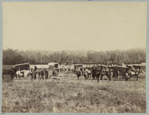 Ambulance Train, Union 2nd Army Corps, 1st Division (1861, U.S. Library of Congress, public domain).