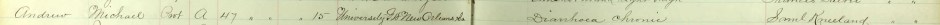 One brief line in a federal army hospital ledger confirms that Private Michael Andrews died in New Orleans in July 1864 from a disease contracted while serving with Company A, 47th Pennsylvania Volunteers. (Image: Public Domain.)